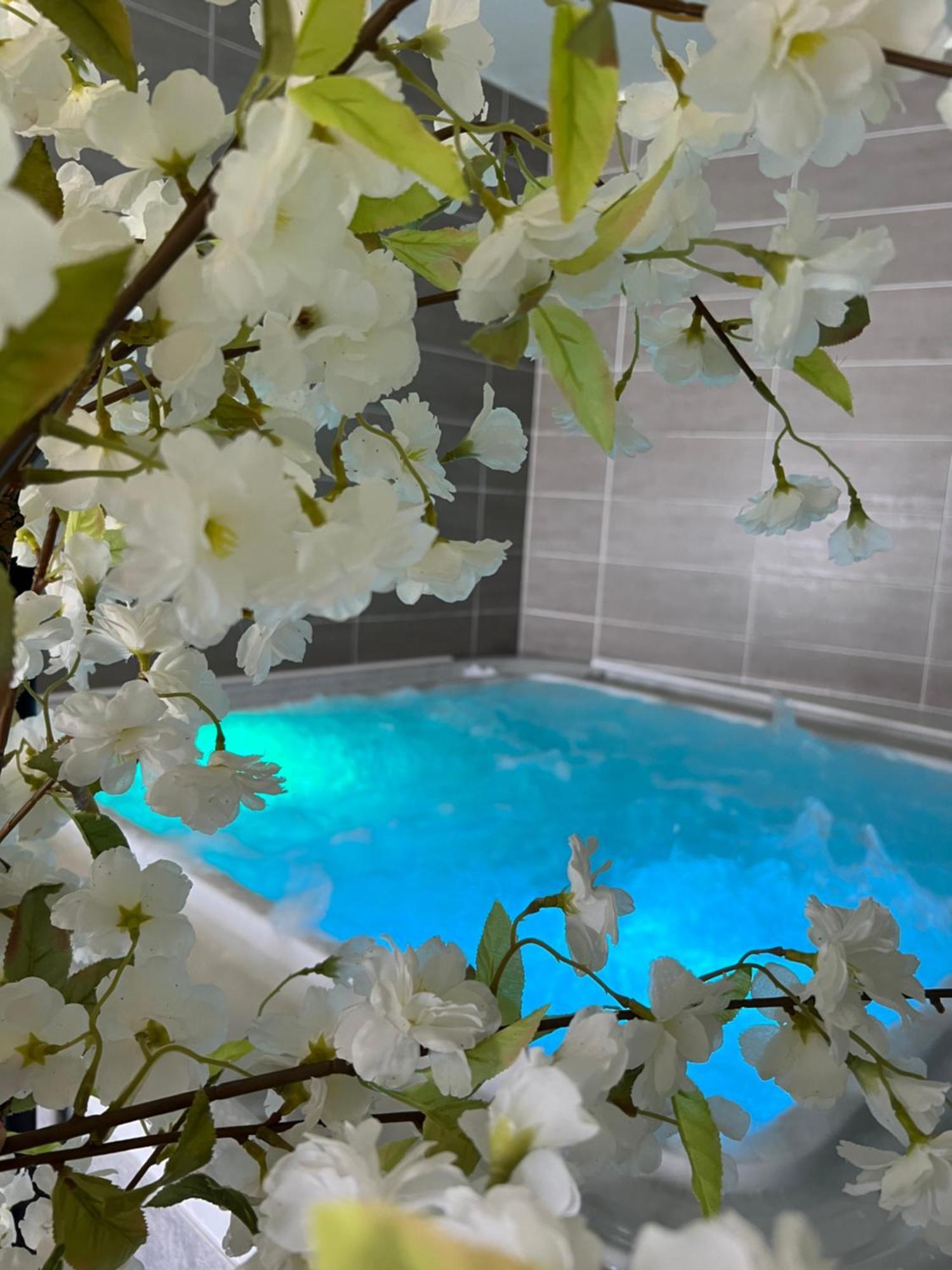 Hotel Calme Des Pins & Spa Les Sables-dʼOlonne Eksteriør billede
